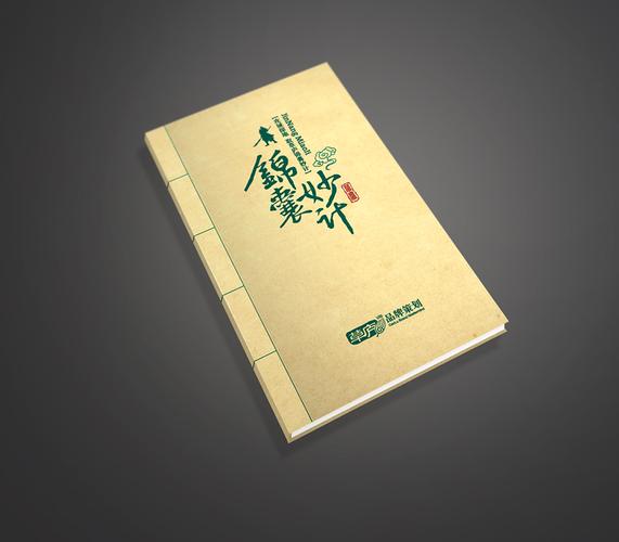 企业,由香港人投资设立;草庐品牌成立于2006年初(前身是"视界动力策划