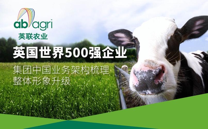 角山大米 从传统生产型工厂向新企业品牌的战略策划与集团架构梳理